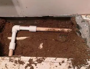 玉林测漏水哪家好