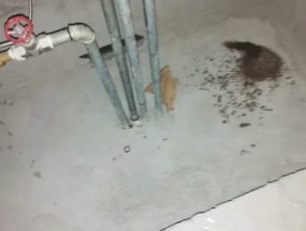 玉林卫生间测漏水价格明细